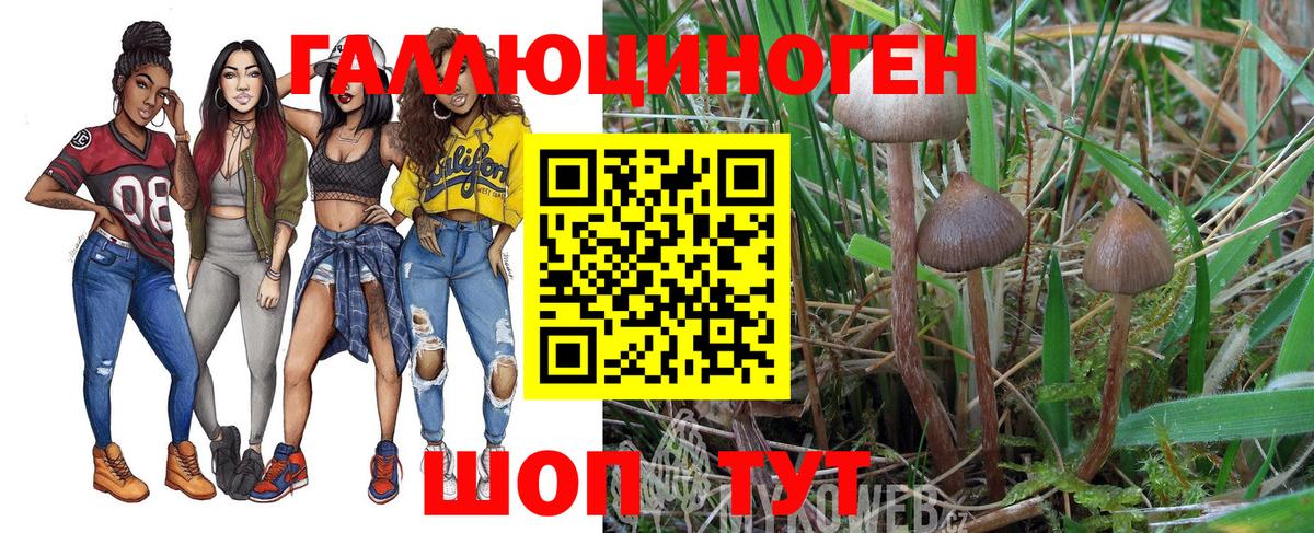 Псилоцибиновые грибы мухоморы  Вход с VPN  Фролово 
