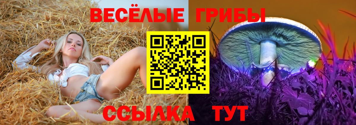 Галлюциногенные грибы прущие грибы Фролово